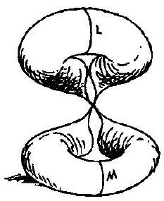 NOW JOIN THE REST OF A TO a ANP B TO b. 继续完成 A 与 a、B 与 b 剩余部分的粘合。